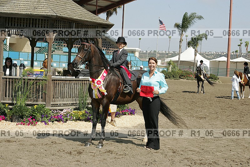 Proof r1_05__0666