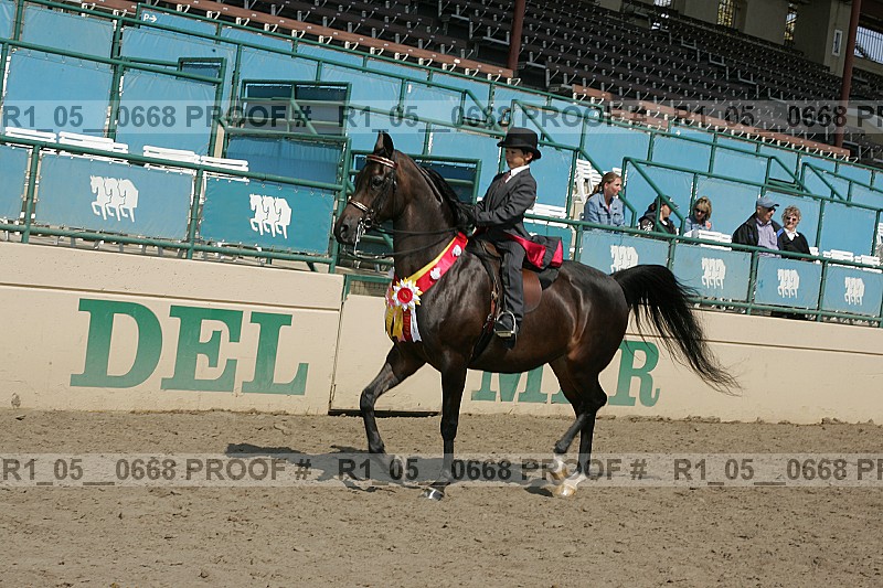 Proof r1_05__0668
