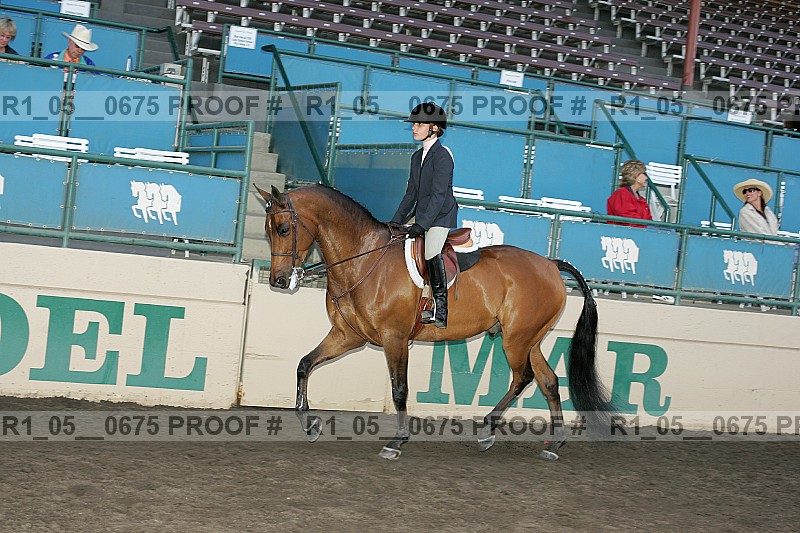 Proof r1_05__0675