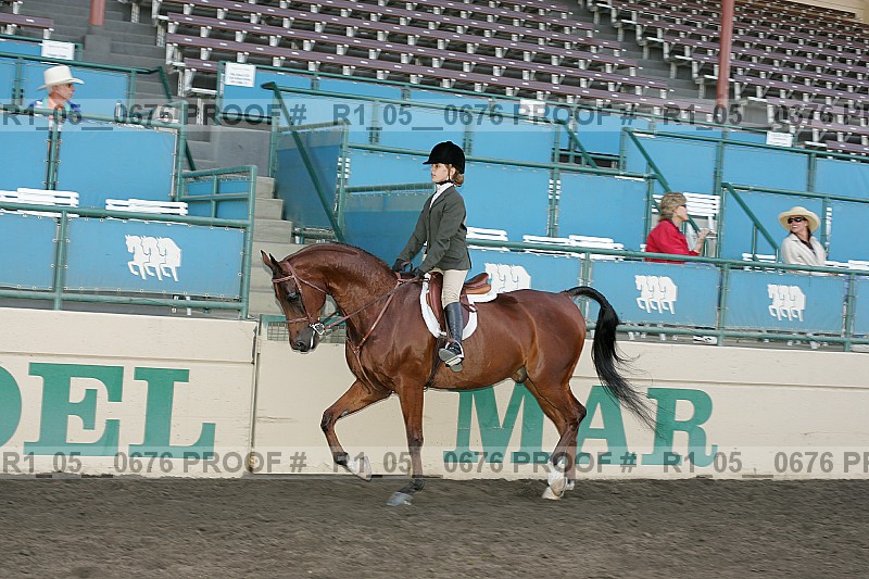 Proof r1_05__0676