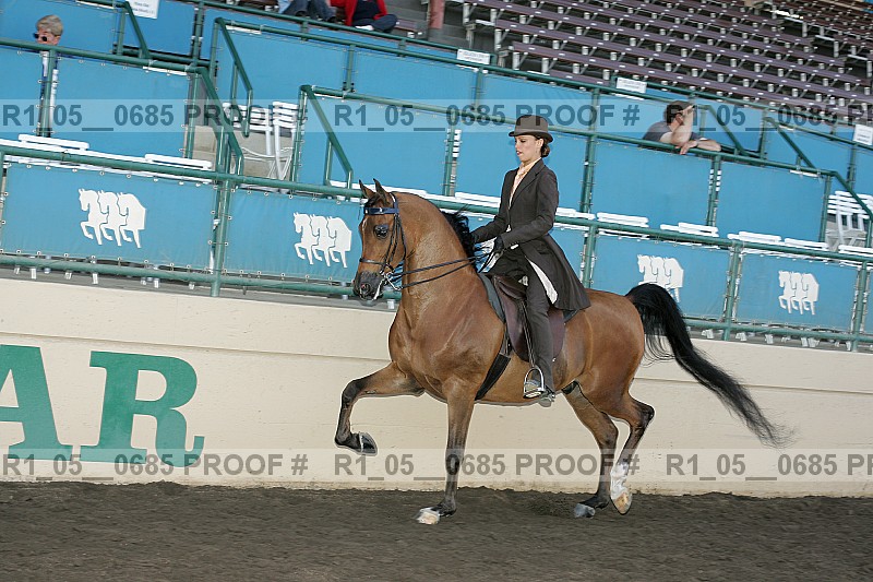 Proof r1_05__0685