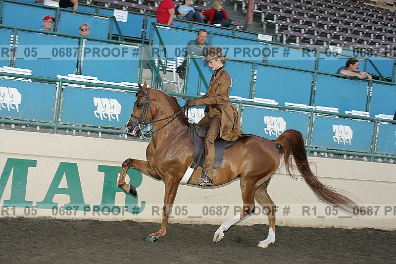 Proof r1_05__0687