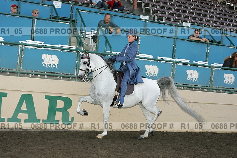 Proof r1_05__0688