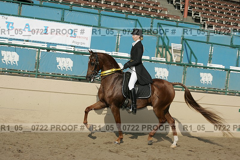 Proof r1_05__0722