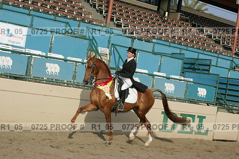 Proof r1_05__0725