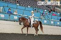 r1_05__0729 proof