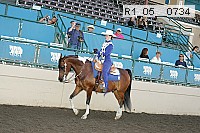r1_05__0734 proof