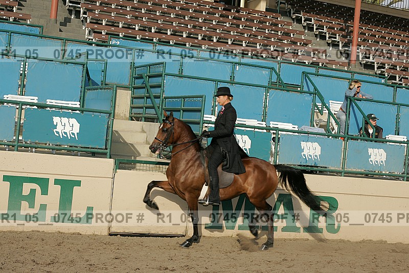 Proof r1_05__0745