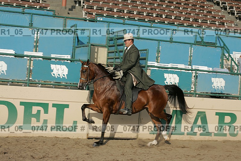 Proof r1_05__0747