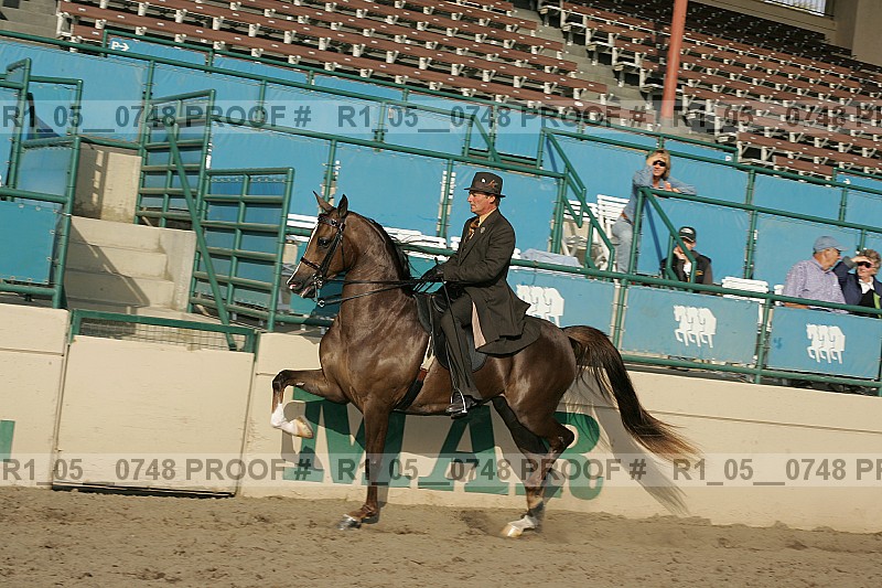 Proof r1_05__0748