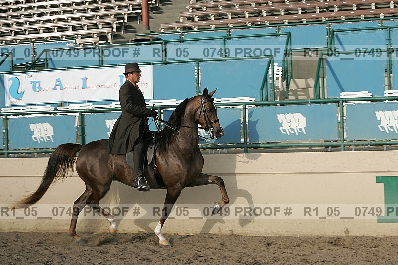 Proof r1_05__0749