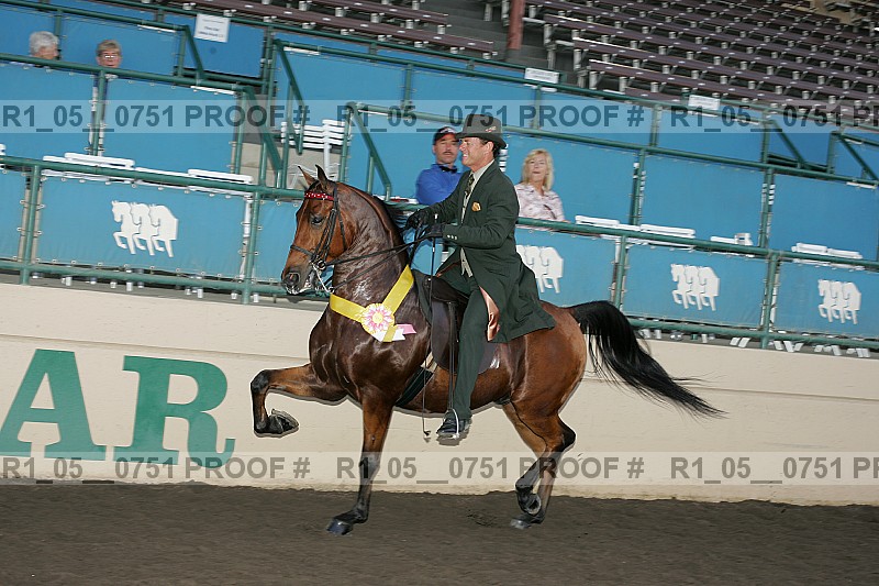 Proof r1_05__0751