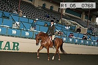 r1_05__0768 proof