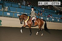 r1_05__0779 proof