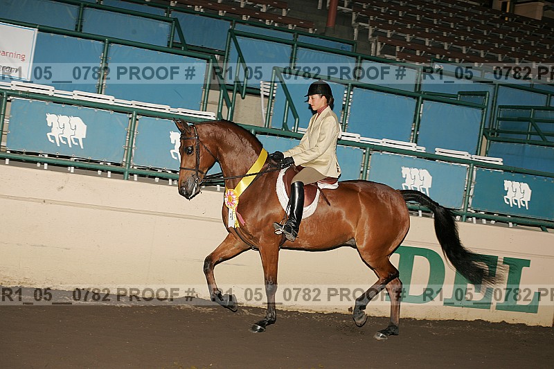 Proof r1_05__0782