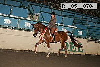 r1_05__0784 proof