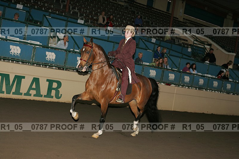 Proof r1_05__0787