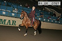 r1_05__0787 proof