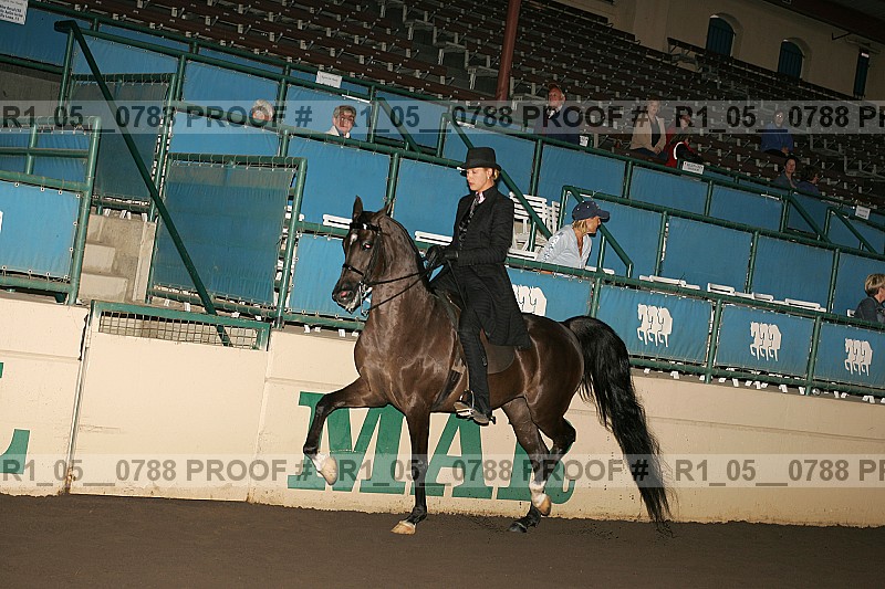 Proof r1_05__0788