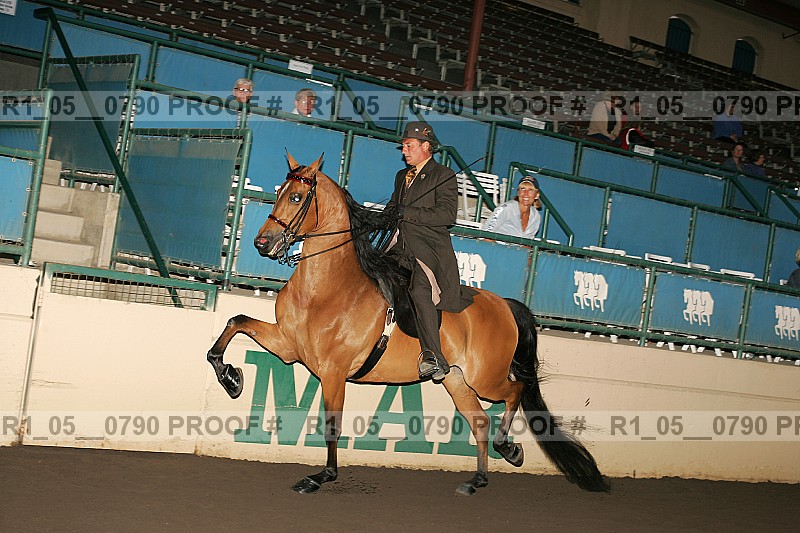 Proof r1_05__0790