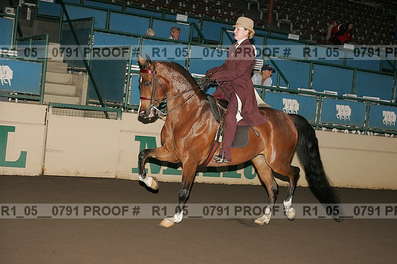 Proof r1_05__0791
