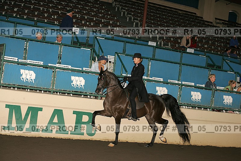 Proof r1_05__0793