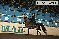 r1_05__0793 proof