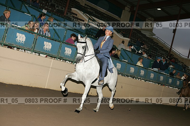 Proof r1_05__0803