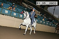 r1_05__0803 proof