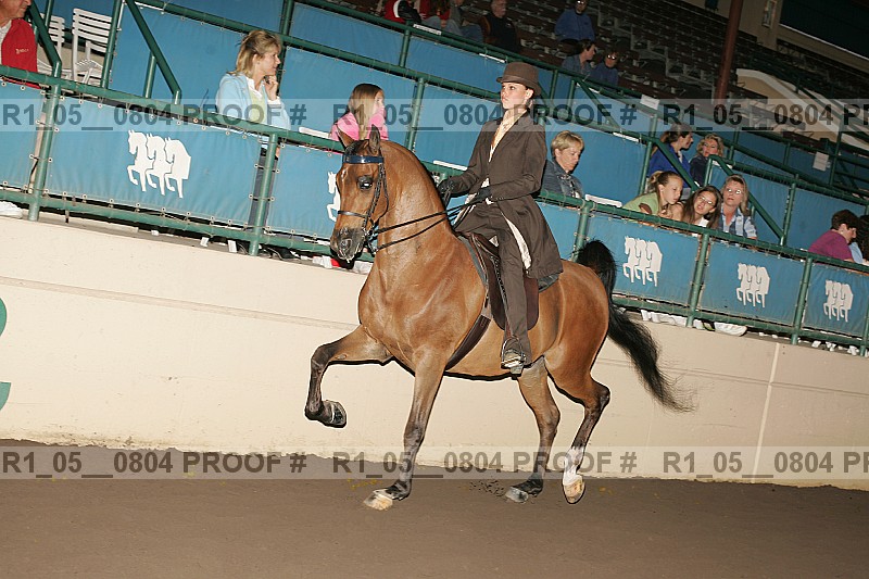 Proof r1_05__0804