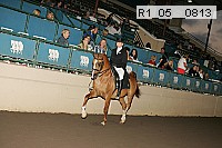 r1_05__0813 proof