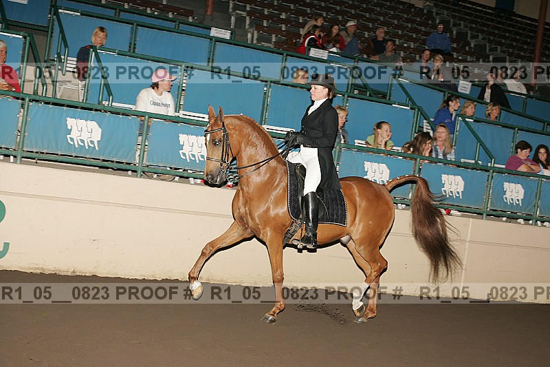 Proof r1_05__0823