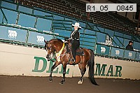 r1_05__0845 proof