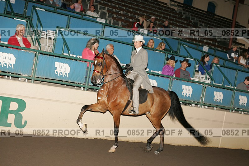 Proof r1_05__0852