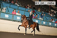 r1_05__0854 proof