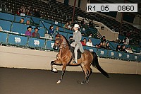 r1_05__0860 proof