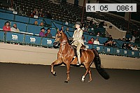 r1_05__0861 proof