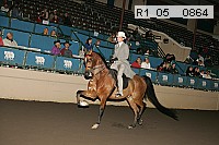 r1_05__0864 proof