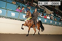 r1_05__0866 proof