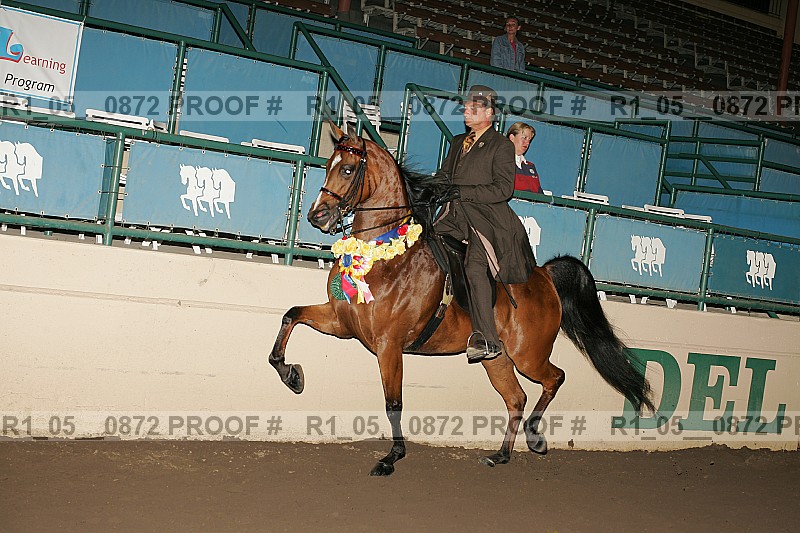 Proof r1_05__0872