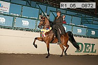 r1_05__0872 proof