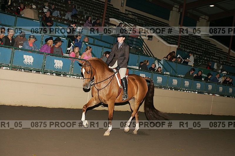 Proof r1_05__0875