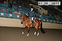 r1_05__0877 proof
