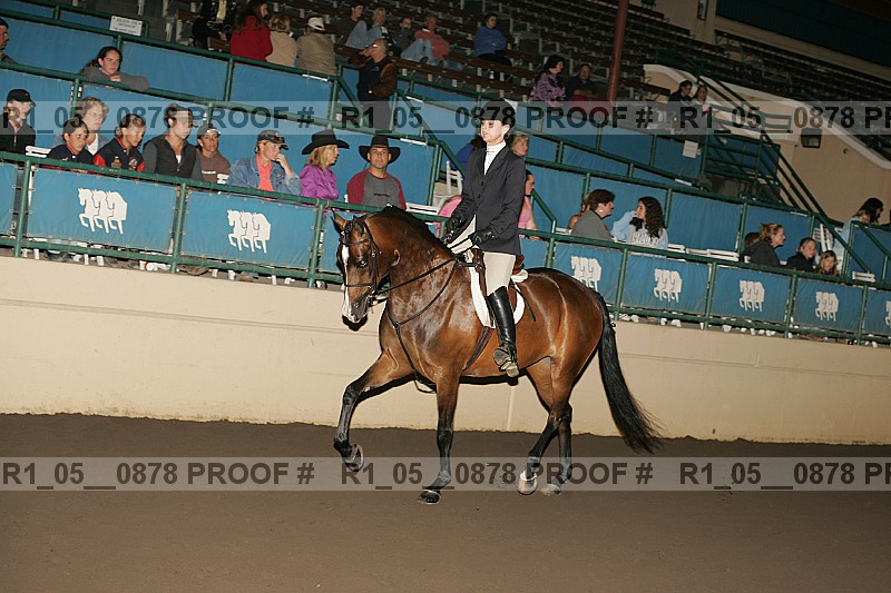 Proof r1_05__0878