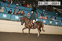 r1_05__0881 proof