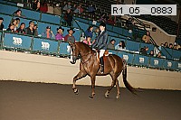 r1_05__0883 proof