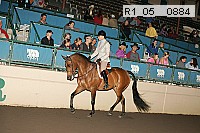 r1_05__0884 proof