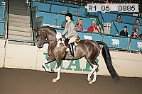 r1_05__0885 proof