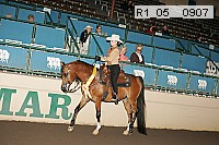 r1_05__0907 proof