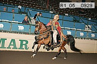 r1_05__0929 proof